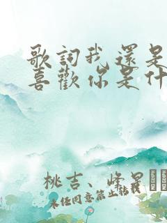 歌词我还是那么喜欢你是什么歌