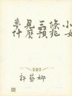 梦见三条小蛇是什么预兆 女性解梦