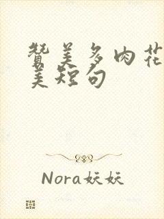 赞美多肉花的唯美短句