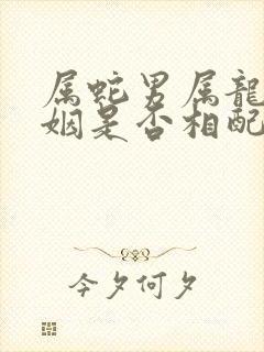 属蛇男属龙女婚姻是否相配