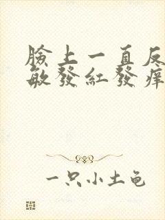 脸上一直反复过敏发红发痒发热脱皮