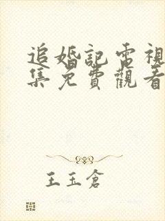 追婚记电视剧全集免费观看