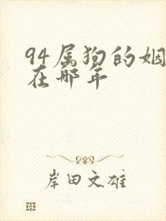 94属狗的姻缘在哪年