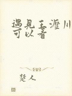 遇见王沥川哪里可以看