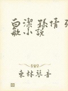 白洁 孙倩 张敏小说