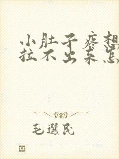 小肚子疼想拉屎拉不出来怎么回事