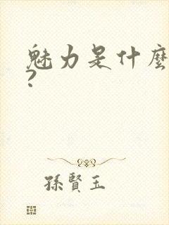 魅力是什么意思?