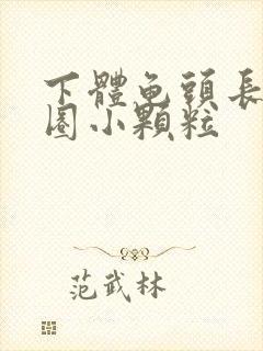 下体龟头长了一圈小颗粒