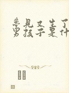 梦见又生了一个男孩子是什么意思