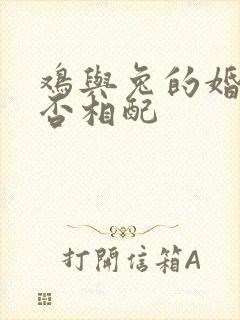 鸡与兔的婚姻是否相配