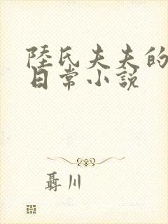 陆氏夫夫的婚后日常小说