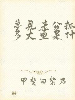 梦见老公抓了好多大鱼是什么征兆