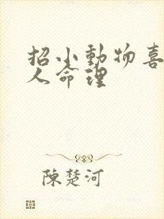 招小动物喜欢的人命理