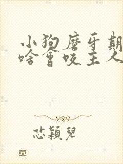 小狗磨牙期间为啥会咬主人