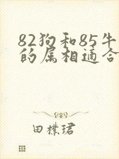 82狗和85牛的属相适合做夫妻吗