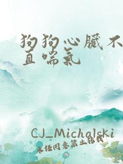 狗狗心脏不好一直喘气