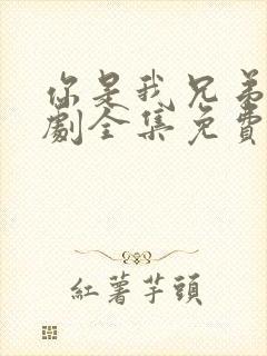 你是我兄弟电视剧全集免费观看高清