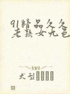 91精品久久久老熟女九色91_