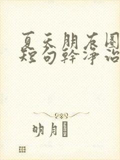 夏天朋友圈文案短句干净治愈阳光