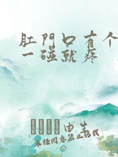 肛门口有个疙瘩一碰就疼