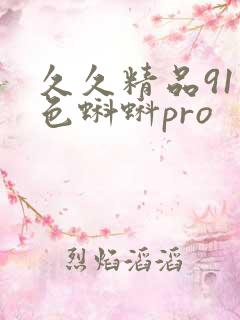 久久精品91九色蝌蚪pro