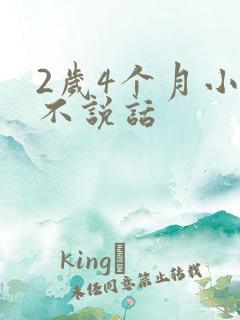 2岁4个月小孩不说话