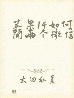 苹果14如何双开两个微信软件