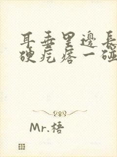 耳垂里边长了个硬疙瘩一碰就疼