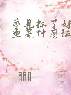 梦见抓了好多小鱼是什么征兆