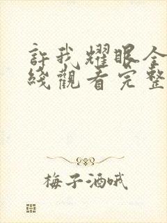 许我耀眼全集在线观看完整版免费