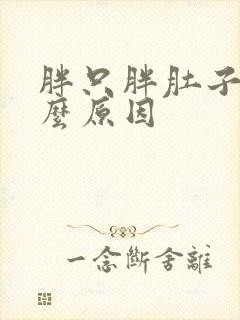 胖只胖肚子是什么原因