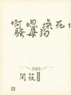 啊 嗯 操死你 骚母狗