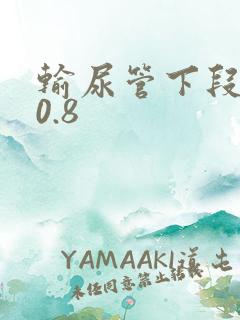 输尿管下段结石0.8