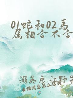 01蛇和02马属相合不合婚姻