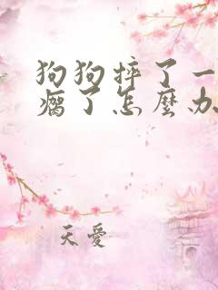 狗狗摔了一下腿瘸了怎么办