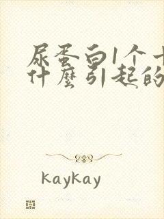 尿蛋白1个十是什么引起的