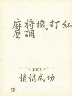 麻将机打红中怎么调