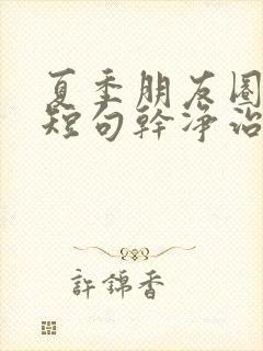 夏季朋友圈文案短句干净治愈阳光