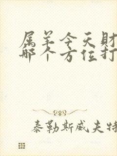 属羊今天财神在哪个方位打牌