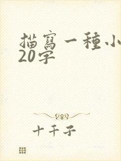 描写一种小动物20字