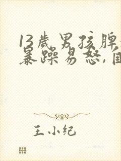 13岁男孩脾气暴躁易怒,自控能力差