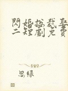 闪婚总裁娶一送二短剧免费