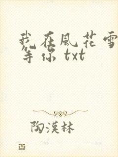 我在风花雪月里等你 txt
