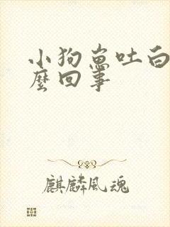 小狗崽吐白沫怎么回事