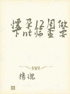 怀孕12周做一下nt筛查要多少钱