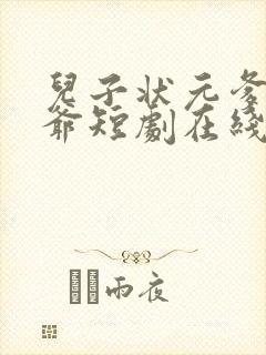 儿子状元爹是王爷短剧在线看