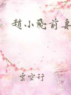 赵小飞前妻是谁