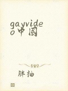 gayvideo中国