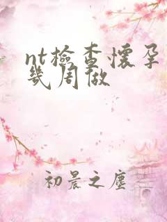 nt检查怀孕第几周做