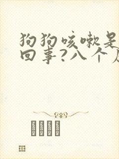 狗狗咳嗽是怎么回事?八个原因